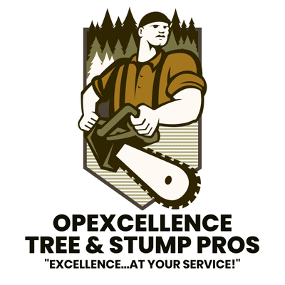 Avatar for OpExcellence Facility Services (ISA Cert Tree Pro)