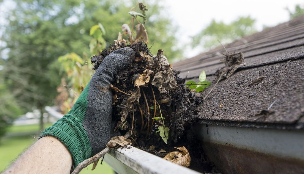 man holding dirt, leaves and debris from clogged gutter before cleaning it