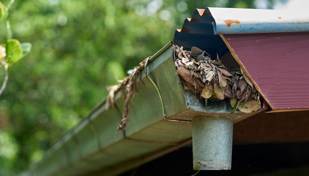 gutter overflowing with leaves and debris