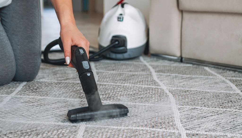 woman using small portable steam cleaner for carpet