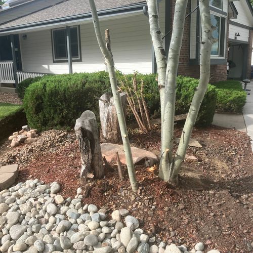 Tree Stump Grinding and Removal