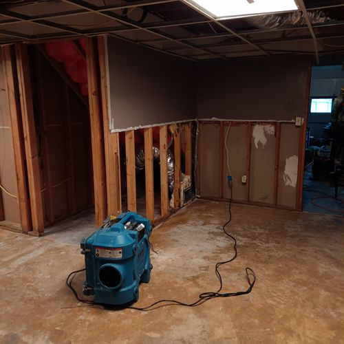 Mold Inspection and Removal