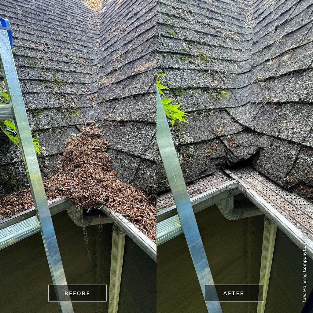 Gutter Cleaning and Maintenance