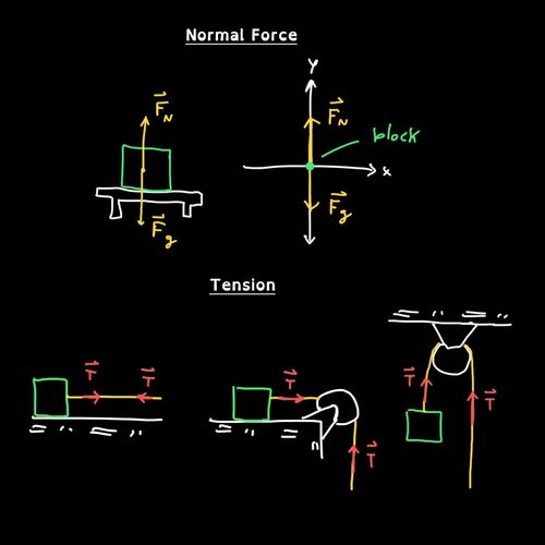 Science Tutoring