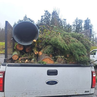 Avatar for Bran Landscaping & Tree Service