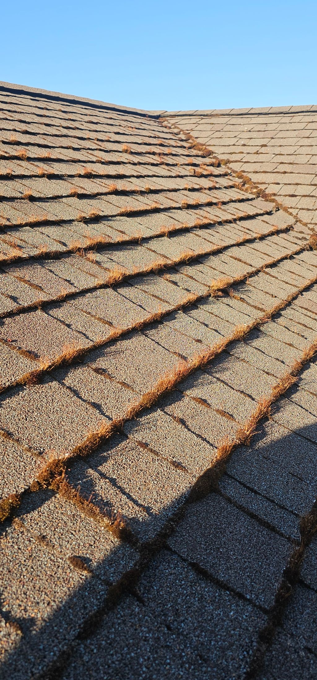 Roof Cleaning