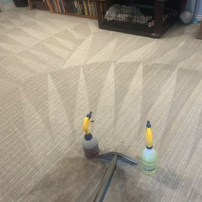 Avatar for Organic choice carpet cleaning