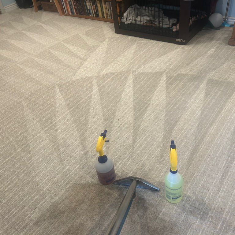 Organic choice carpet cleaning