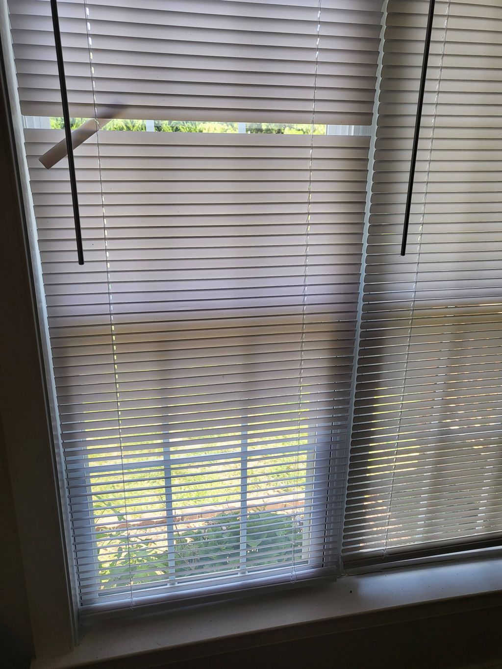 Move In Cleaning 