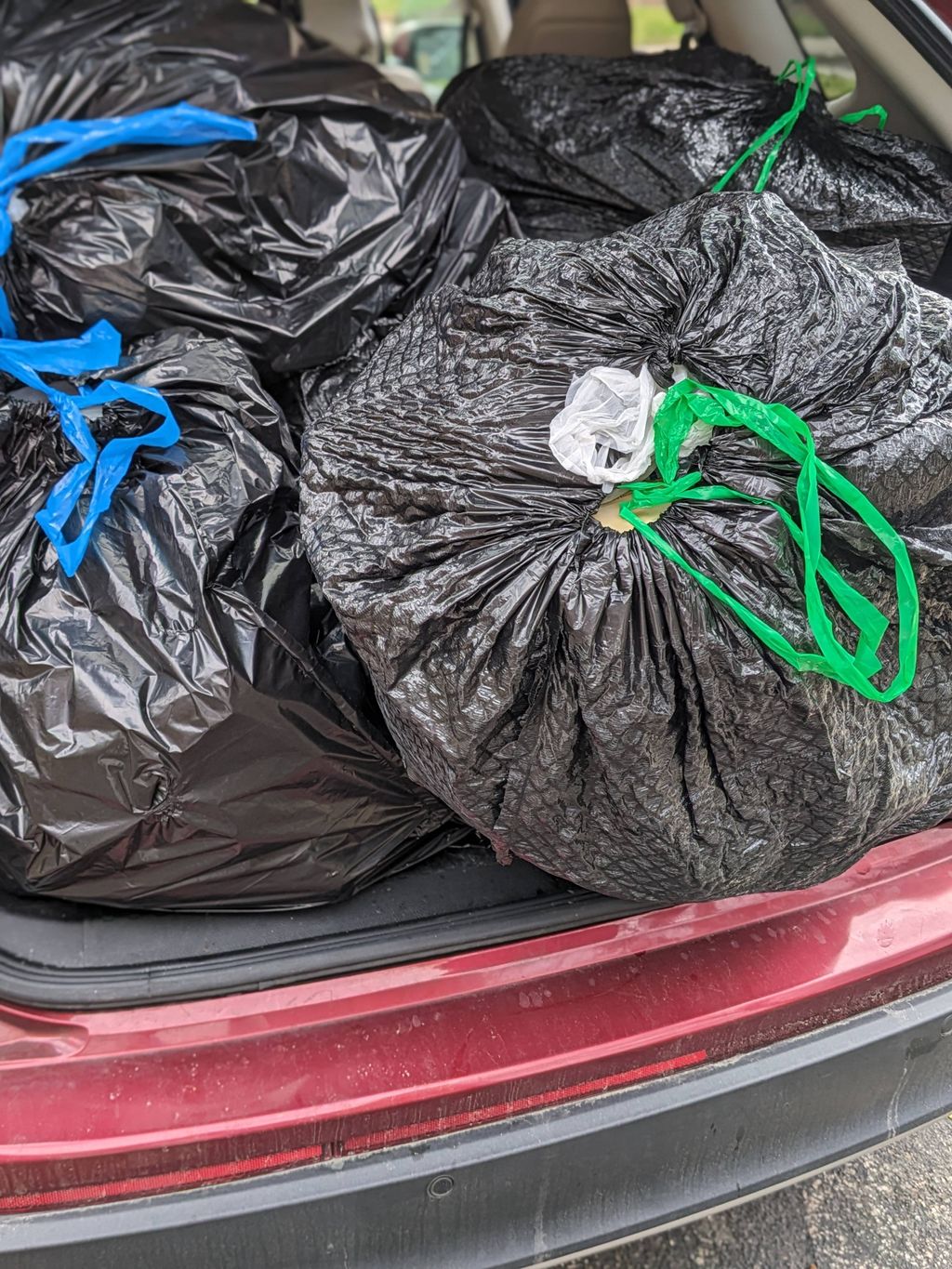 Trash removal 