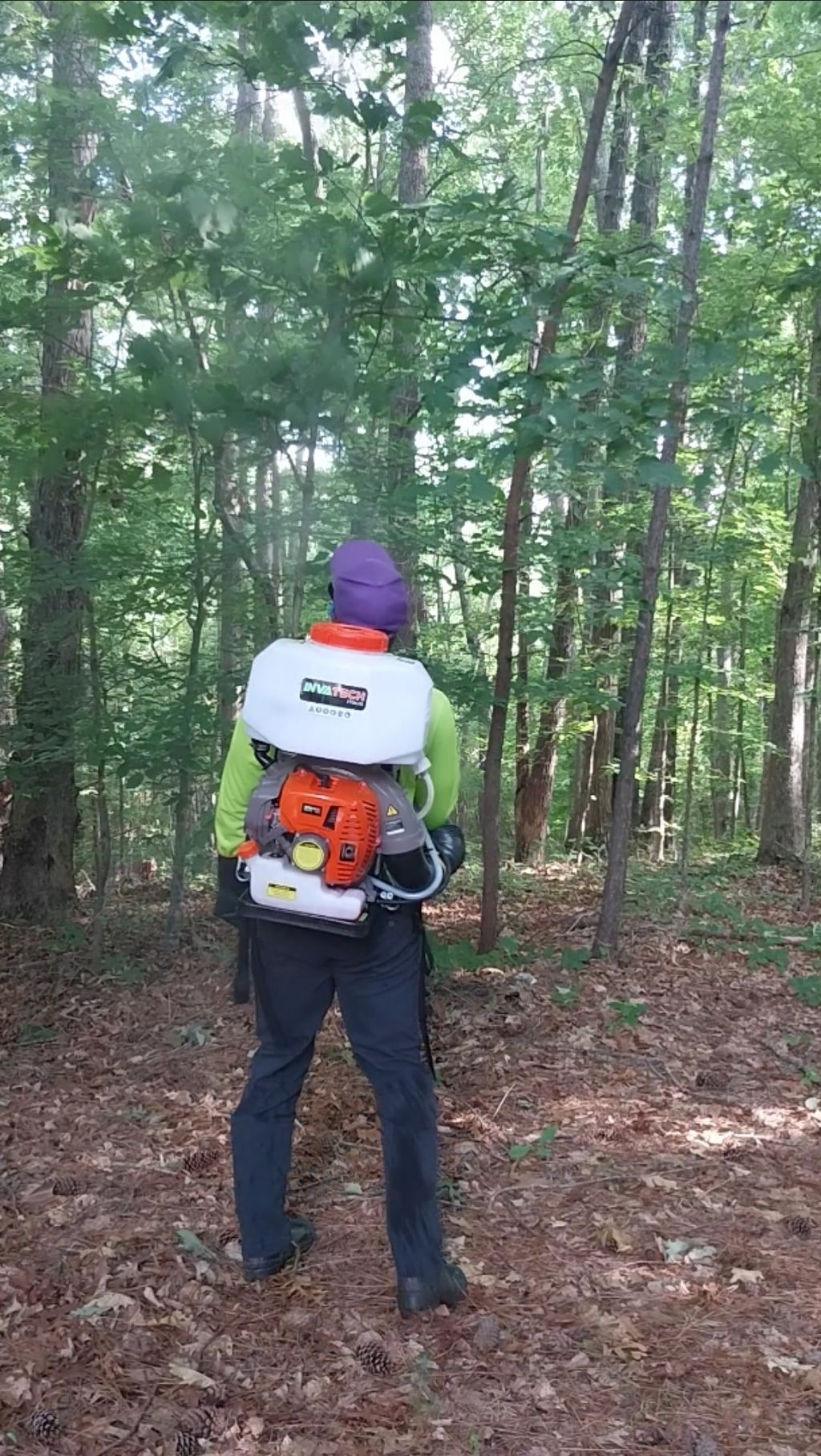 Mosquito Control for a heavy wooded area. 