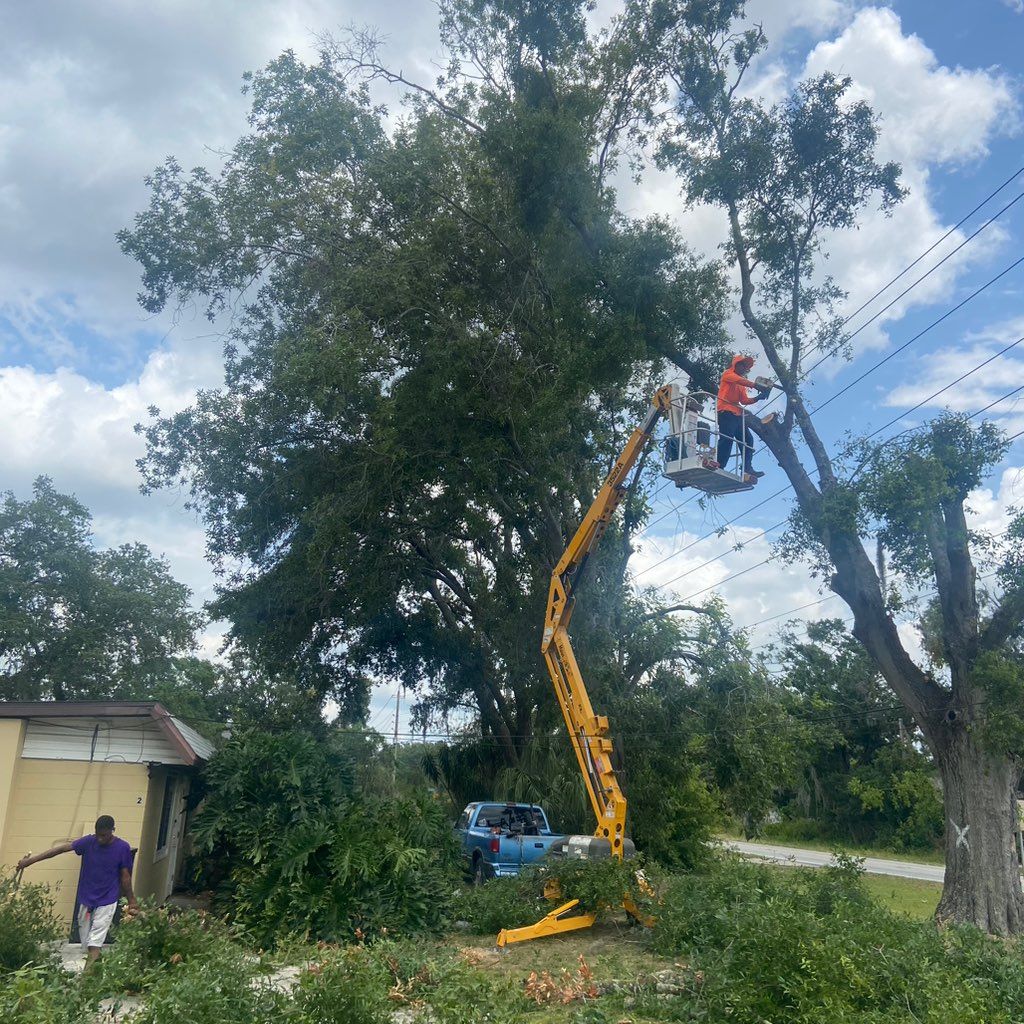 Efficient and reliable tree service