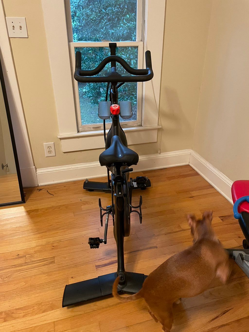 MoveMate moved a used Peloton from my husband’s ca