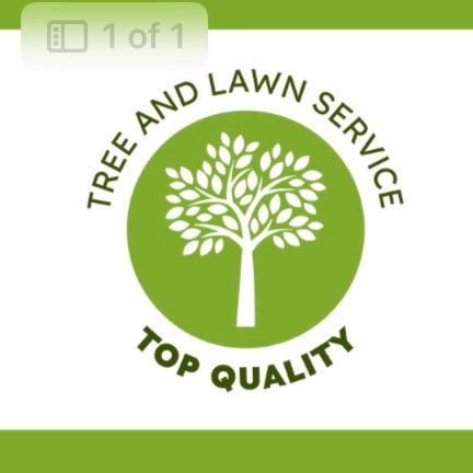 Top Quality Tree and Lawn Service LLC