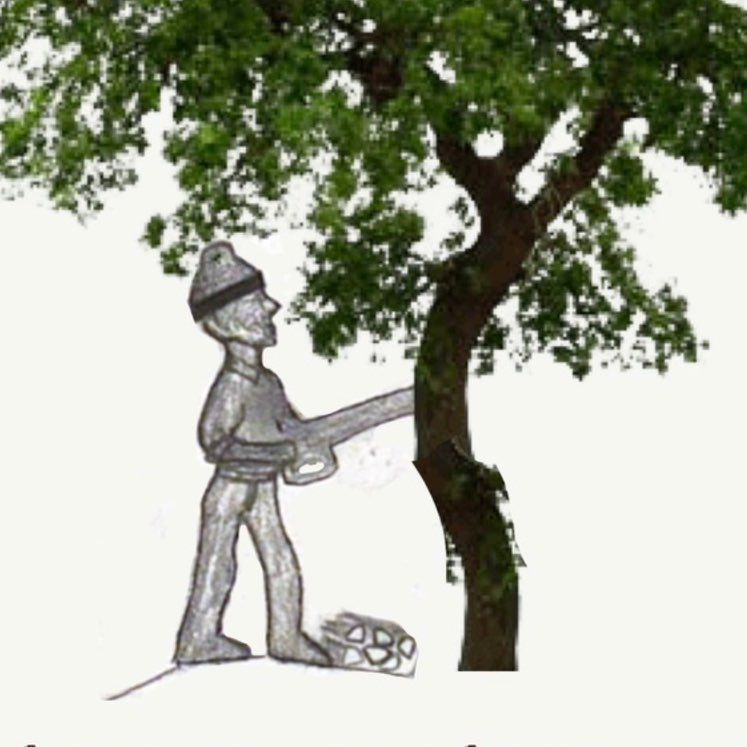 Affordable Approach Tree Service