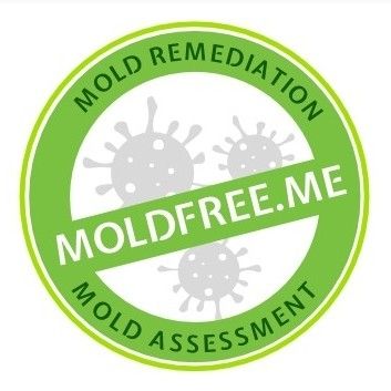 Avatar for moldfree.me