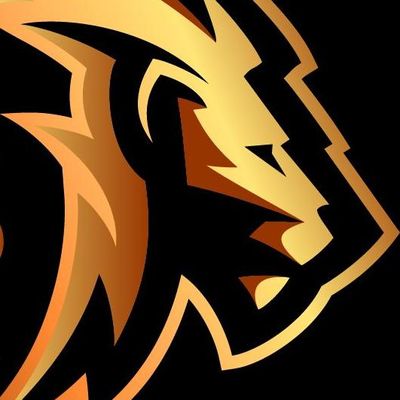 Avatar for Lion Gutters