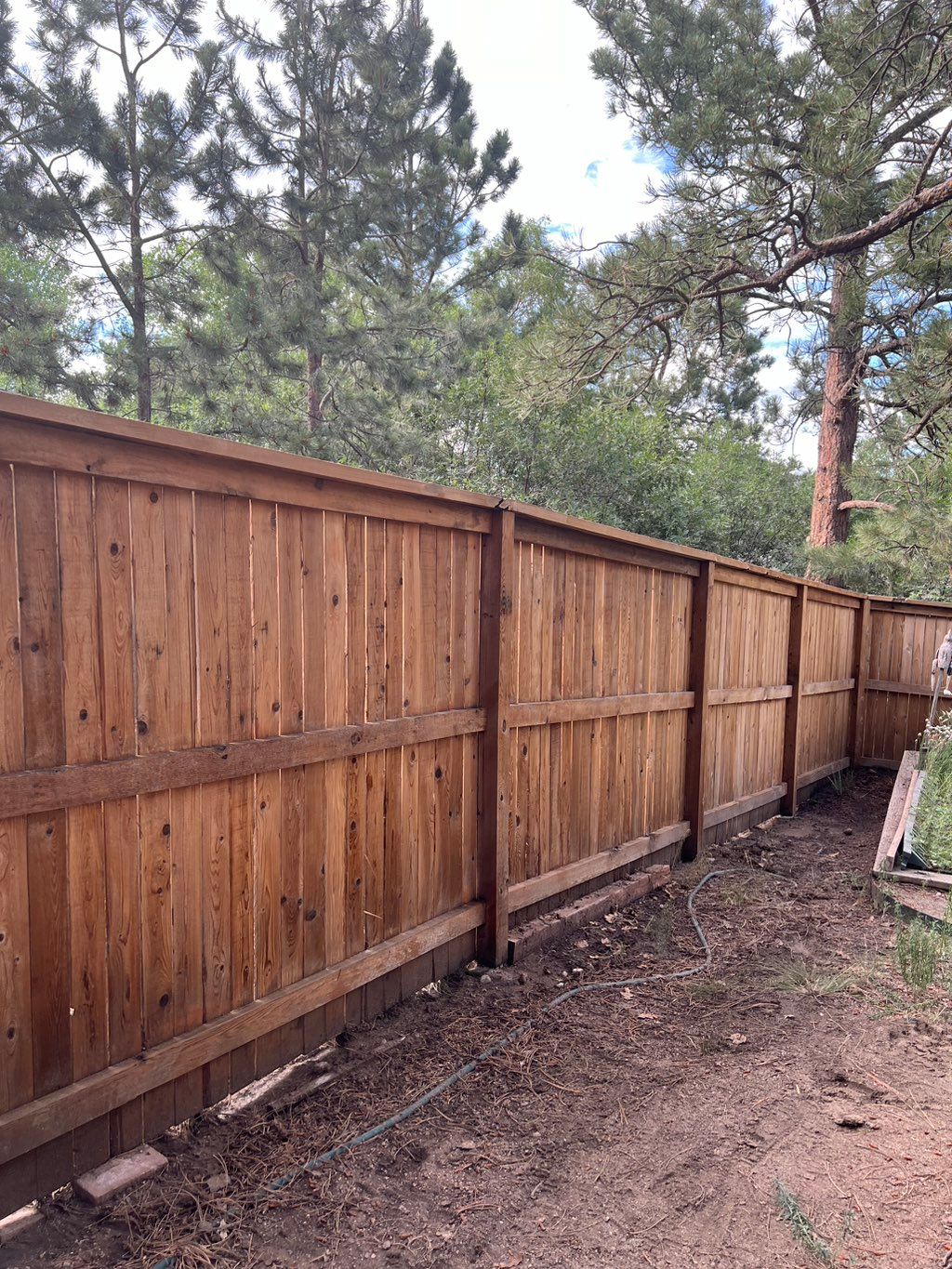 Dan did a fantastic job staining my cedar fence an