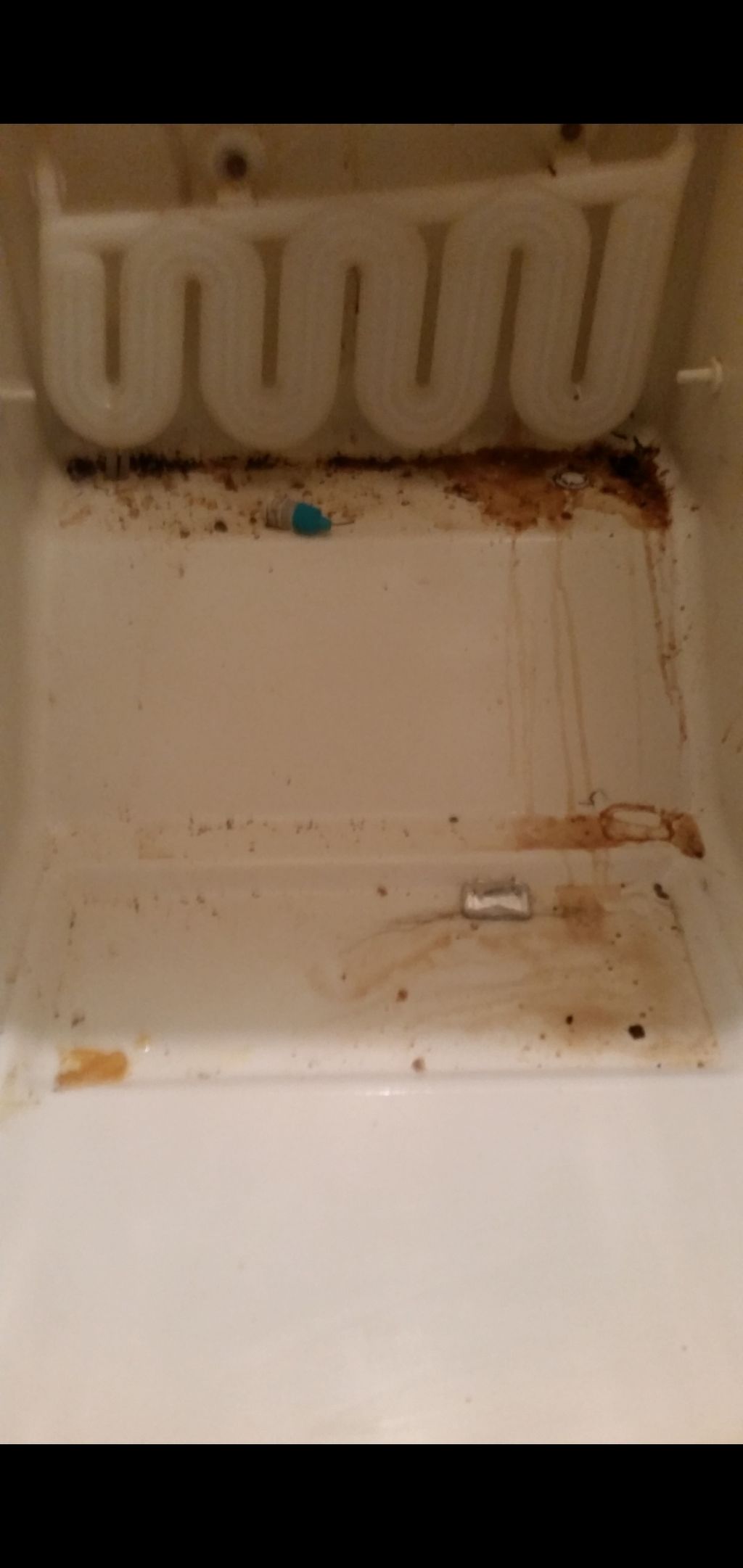 Customer Refrigerator/Freezer 