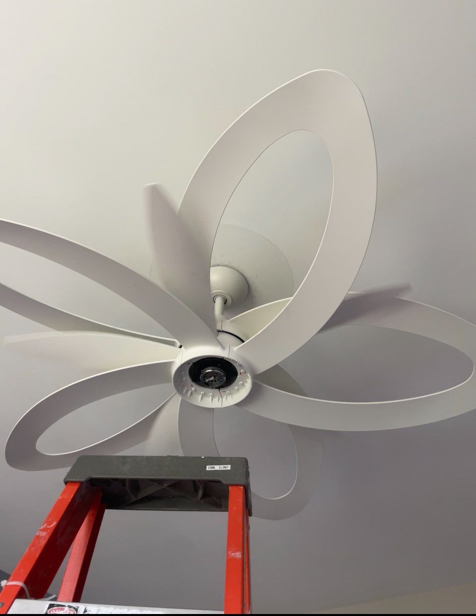 Beautiful ceiling fan