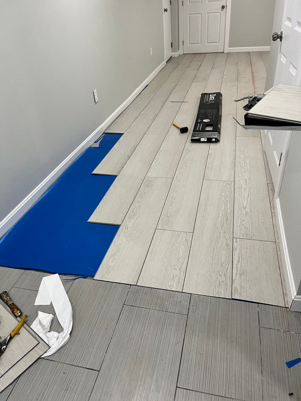 Projects and media