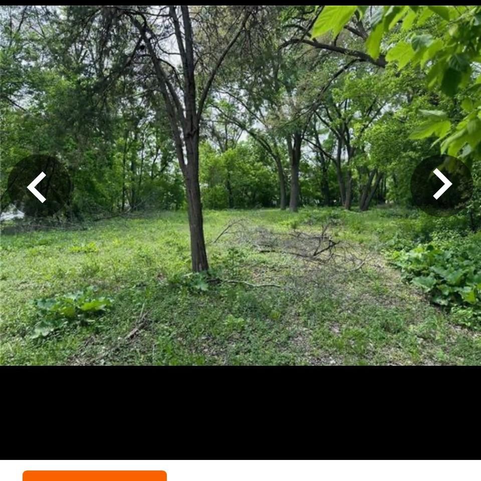 T-Rex Landscaping