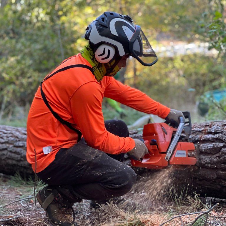 Golden Roots Tree Care