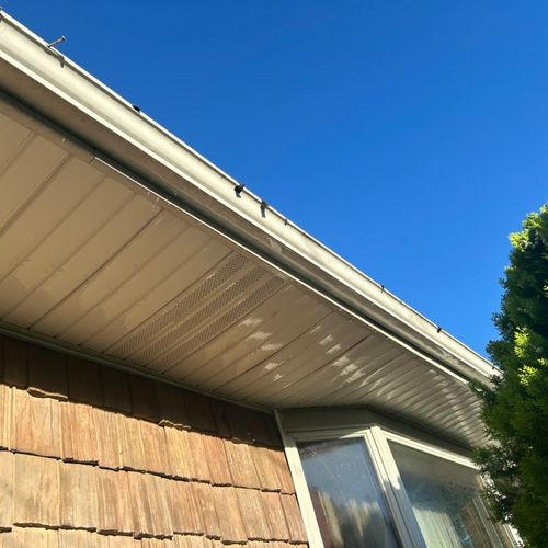 Made the gutters and soffits pearly white again! 