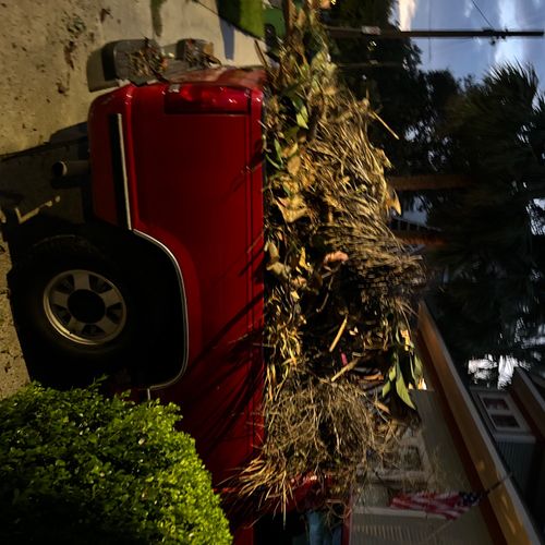 Hauled away tree debris.