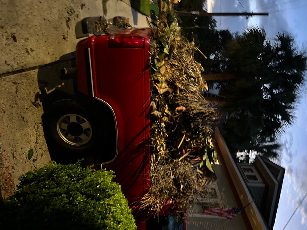 Hauled away tree debris.