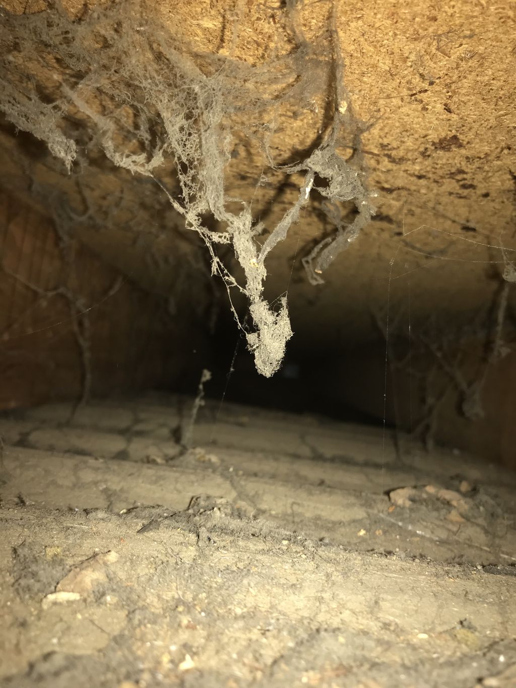 Duct and Vent Cleaning