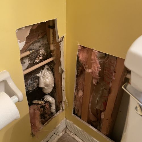 Mold removal job