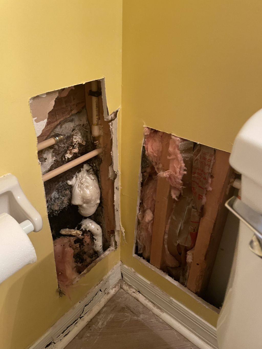 Mold removal job