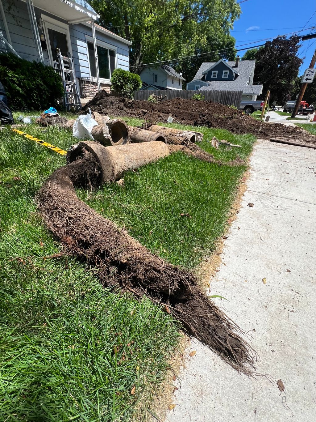 Sewer full of Tree Roots!