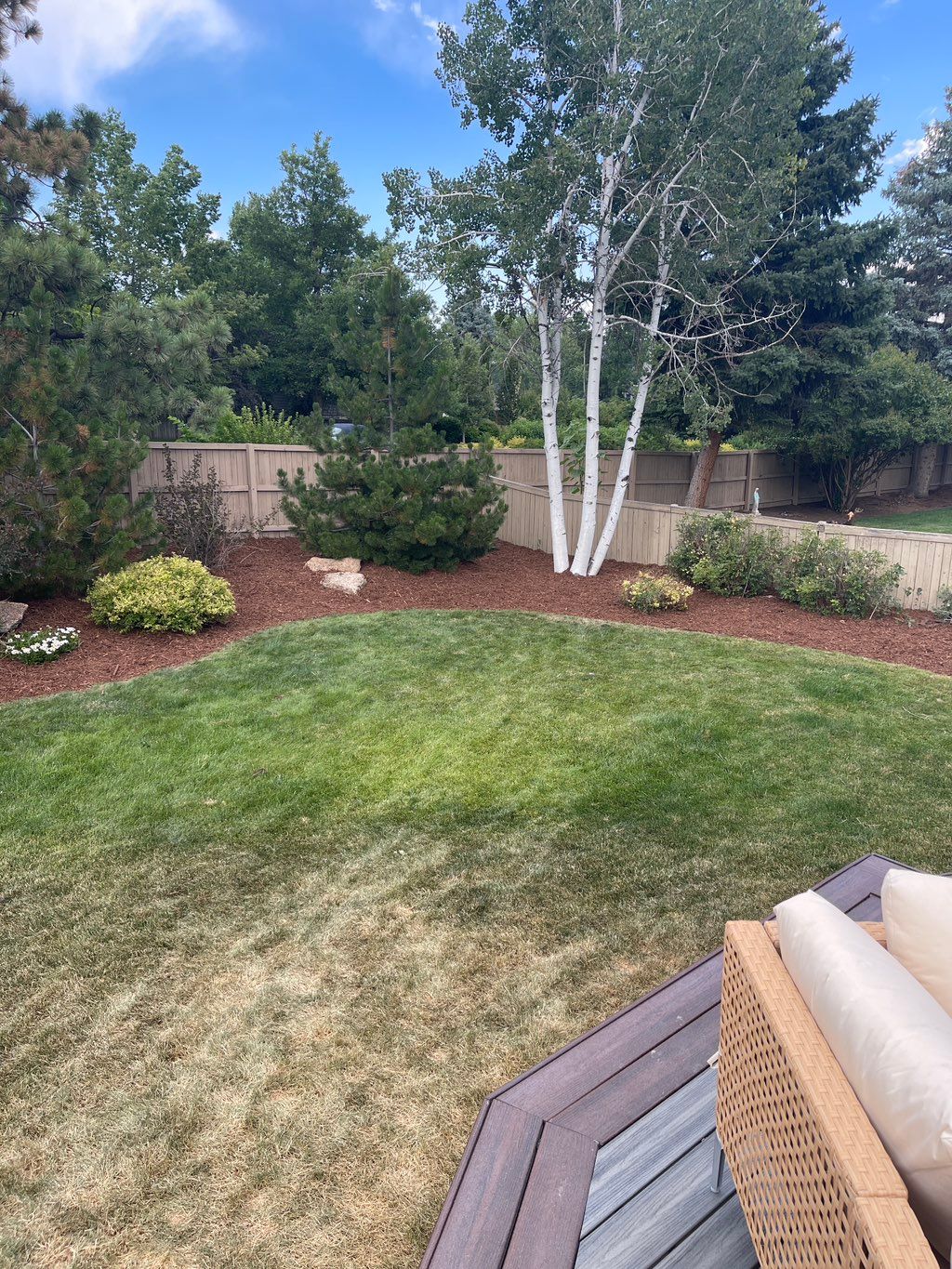 Customer photos