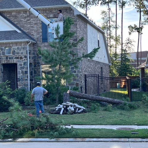 Hurricane Beryl uprooted our tree and AAA was able