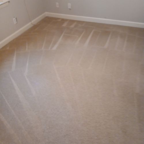 Carpet Cleaning