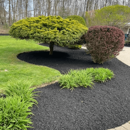 Lawn Mowing and Trimming