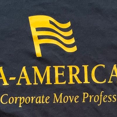 Avatar for AA American