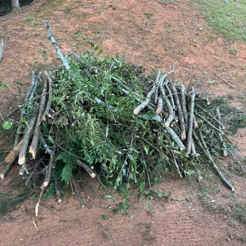 yard debris- Gon' 