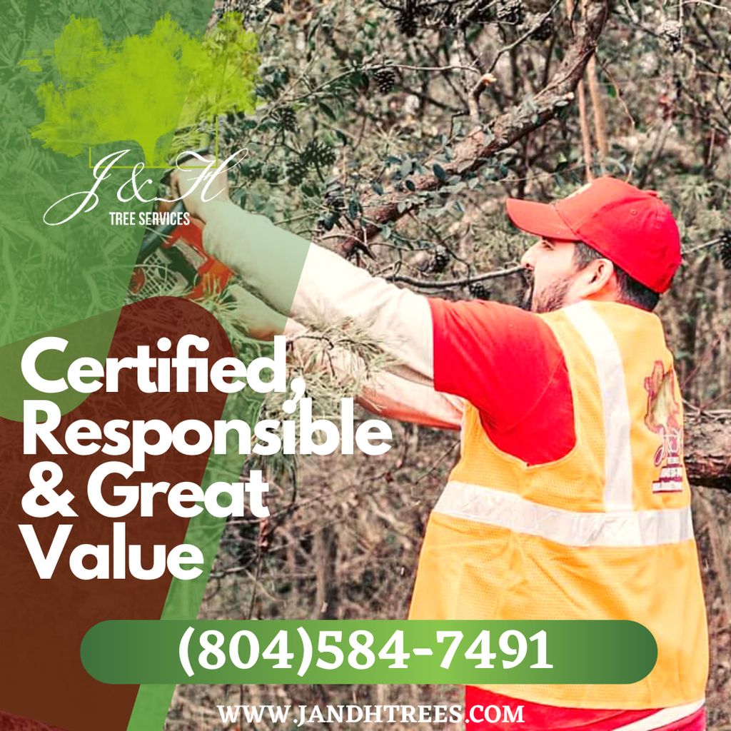 J&H Tree Services