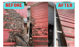 Gutter Cleaning and Maintenance