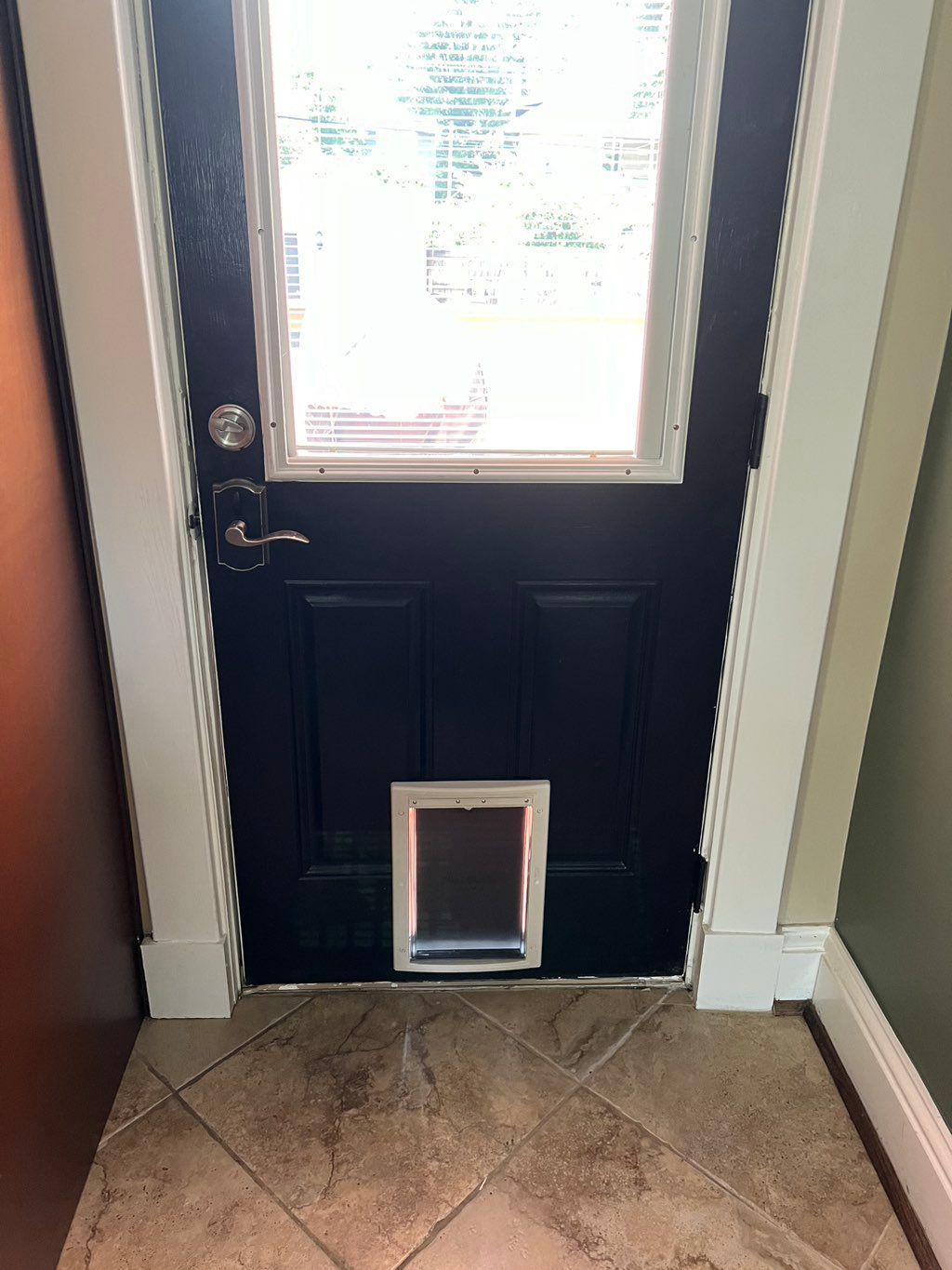 Gabriel installed my doggy door and it looks great