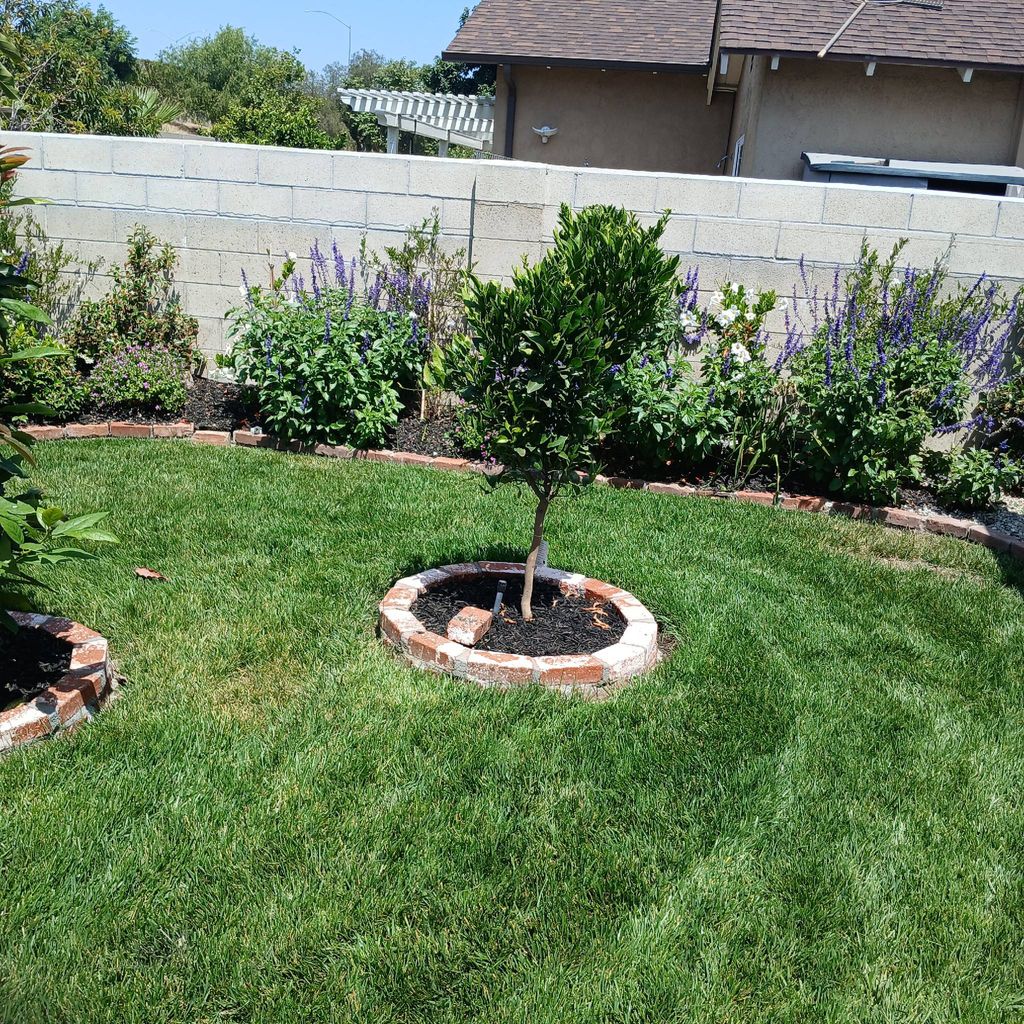 Bris sprinkler and landscape