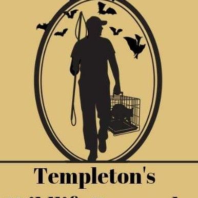 Avatar for Templeton's Wildlife Removal