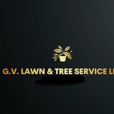 Avatar for G.V. LAWN & TREE SERVICE