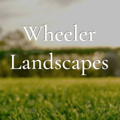 Avatar for Wheeler Landscapes