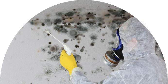 Mold Removal around Round Rock thumbnail