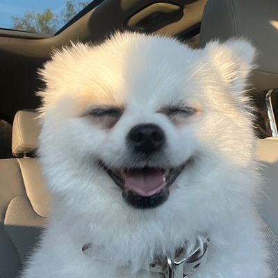 Avatar for Pawsitivley Yours Pet Care