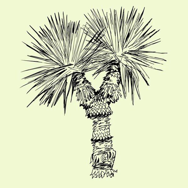 Yucca YardScapes